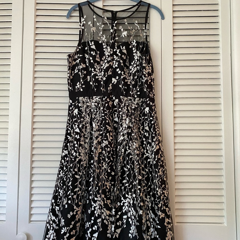 Black organza over black lining. White embroidery.